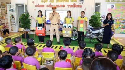 Министерство образования и профессиональной подготовки проводит проверки соблюдения универсальных стандартов дошкольного образования в Тайнине.