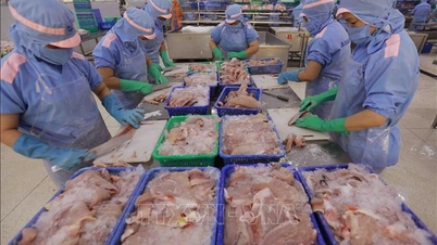 Les exportations de produits de la mer pourraient atteindre un nouveau record en 2025.