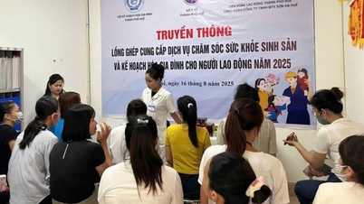 Hue Şehri: 2025'te Nüfus ve Kalkınma çalışmalarında birçok olumlu sonuç