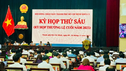 Ho Chi Minh City zatwierdza 5-letni plan finansowy na lata 2026-2030