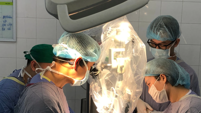 25시간 만에 절단된 선원의 손가락을 성공적으로 다시 붙였습니다.