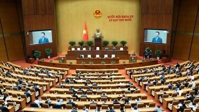 The National Assembly is expected to pass five major laws, perfecting the institutional framework for the fields of science, technology, innovation and digital transformation.