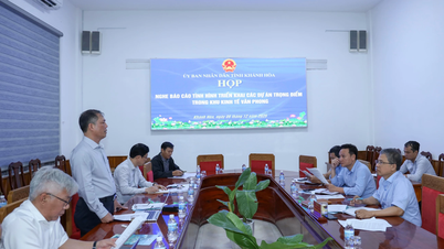 إزالة الصعوبات بسرعة للمشاريع الرئيسية في المنطقة الاقتصادية فان فونج