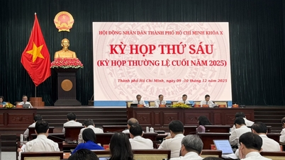 Consiliul Popular al orașului Ho Și Min a discutat multe decizii majore pentru noua etapă de dezvoltare.