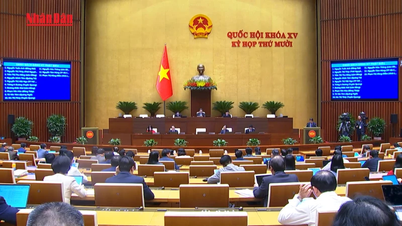 [영상] 신종 수법 등장 속 관리 강화하고 범죄 억제 강화