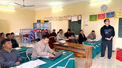 יישום מדע וטכנולוגיה בייצור ועיבוד עצי פרי ממוזגים בהונג תאי