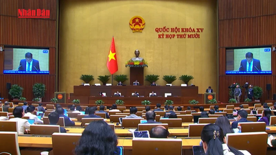 [Video] Steigerung der Effektivität von Strafverfolgung und Aufsicht, Begrenzung von Fehlurteilen in der Justiz