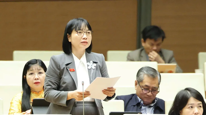 Делегаты Национальной ассамблеи перечислили множество петиций избирателей, которые не были полностью решены.