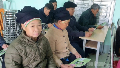 Comunicare privind asistența juridică în comuna Bach Dich