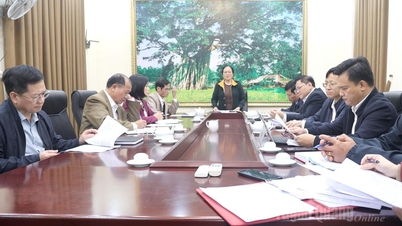 Provinciale Vereniging Ouderen stelt werkopdrachten vast voor 2026