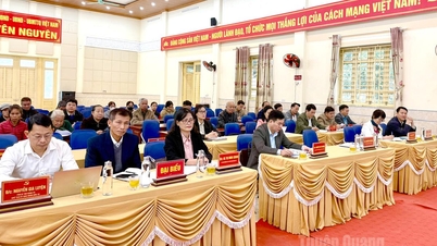 Samenvatting van het programma ter ondersteuning van gezinnen met een beperking in de gemeente Yen Nguyen bij het fokken van koeien in 2025