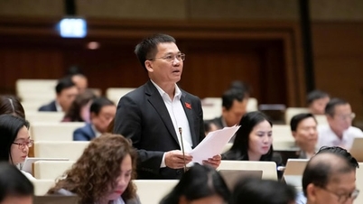 نواب الجمعية الوطنية يوصون بتطبيق حلول للوقاية من الجرائم التكنولوجية المتقدمة