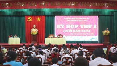 ด่งนาย: เป็นครั้งแรกที่รายรับงบประมาณแตะ 100,000 ล้านดอง