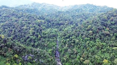 Eksperter gir råd om bærekraftig utvikling av det vestlige Nghe An biosfærereservatet