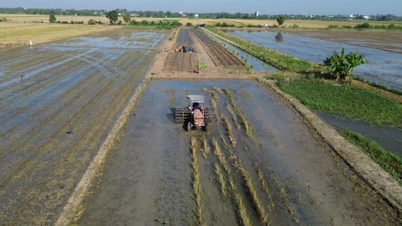 Boeren zaaien met spoed winter-lenterijstoogst