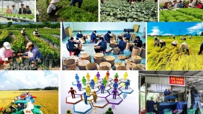 អភិវឌ្ឍសេដ្ឋកិច្ចសមូហភាព និងសហករណ៍ ស្របតាមគំរូបៃតង ឌីជីថល និងរាងជារង្វង់