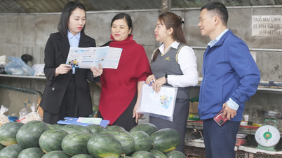 ປະກັນສັງຄົມແບບສະໝັກໃຈ - ການຊ່ວຍເຫຼືອປະກັນສັງຄົມແບບຍືນຍົງ ສໍາລັບພະນັກງານອິດສະລະ ຢູ່ລາວກາຍ