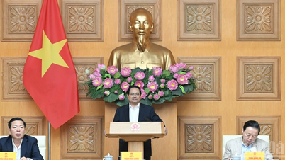 تسريع إنجاز مشاريع المرور الرئيسية لخدمة حفل وضع حجر الأساس والافتتاح في 19 ديسمبر