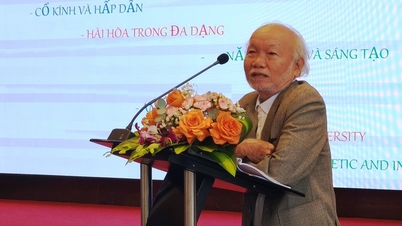 Was ist die kulturelle Identität von Da Nang?