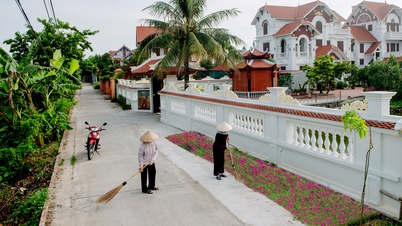 ایک روشن - سبز - صاف - خوبصورت ماحول کی تعمیر: بہت سے مؤثر طریقے