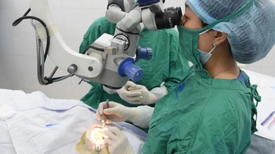 Κερατοειδή από το Νεπάλ πέρα ​​από τα σύνορα φέρνουν φως σε 12 Βιετναμέζους ασθενείς