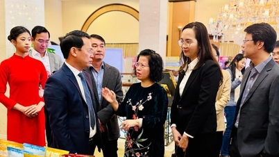 Развитие трансграничной электронной коммерции и региональной взаимосвязанности в Ламдонге