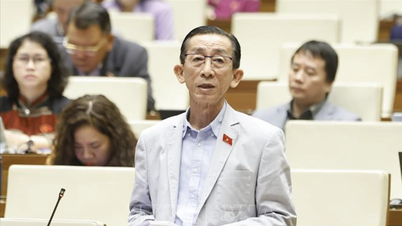 Спеціальна сесія створює правову основу для вступу країни в нову еру