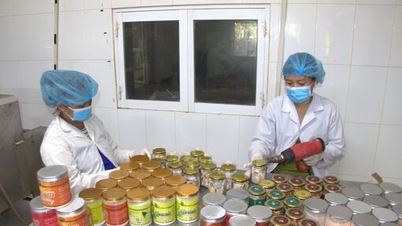 ពាណិជ្ជកម្មអេឡិចត្រូនិកសម្រាប់ផលិតផលកសិកម្ម - ពង្រីកការប្រើប្រាស់ផលិតផលបច្ចេកវិទ្យាខ្ពស់។