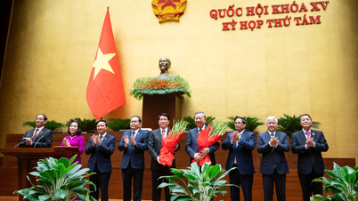 Außergewöhnliche Leistungen während der 15. Legislaturperiode der Nationalversammlung