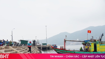 Vremea nefavorabilă îngreunează exploatarea fructelor de mare