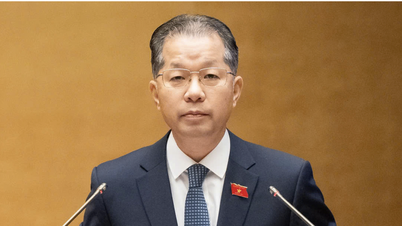 Bearbeitung zahlreicher Korruptions- und Verschwendungsfälle unter der Aufsicht des Zentralen Lenkungsausschusses