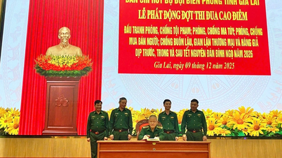 أطلقت قوات حرس الحدود في جيا لاي حملة مكثفة ضد الجرائم على الحدود.