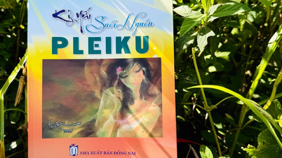 ذكريات جميلة عن بليكو القديمة