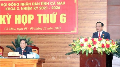 Ка Мау має намір розподілити державний інвестиційний капітал