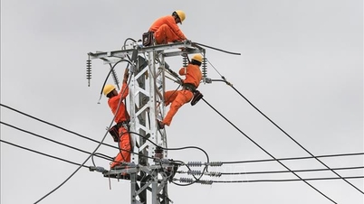 توضيح وتوحيد آلية عمل منظومة الكهرباء بالمنطقة الوسطى