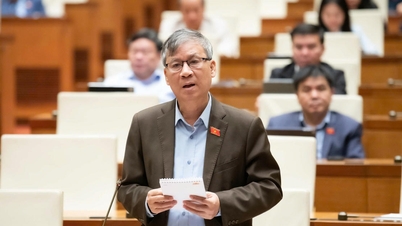 עלינו להתערב בקרוב כדי לכוון את דעת הקהל ולהבהיר את הנכון והלא נכון של היצירה "צער המלחמה".