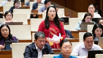 נציגי האסיפה הלאומית מציעים התקפות חריפות על פשעי היי-טק, מוצרים מזויפים ומזון מלוכלך