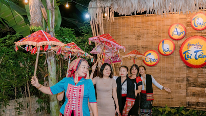 אישה תאילנדית מחייה את פרנסתם של כפרים עניים