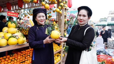 Bac Ninh Fruit Festival 2025: Diverse forms of promotion to attract visitors