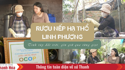 [REVIEW OCOP] - Rượu nếp hạ thổ Linh Phượng - tinh túy đất trời, gìn giữ qua từng giọt