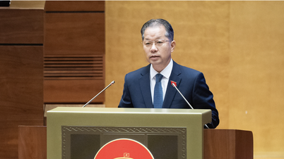 Chưa phát hiện trường hợp nào kết án oan người vô tội