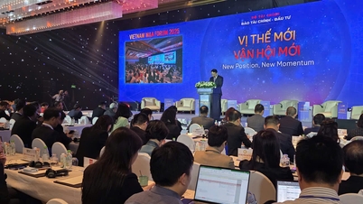 Thị trường M&A Việt Nam đạt 2,3 tỷ USD trong 10 tháng