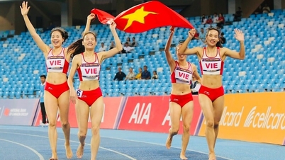 Silné sportovní výkony vietnamské delegace na SEA Games 33