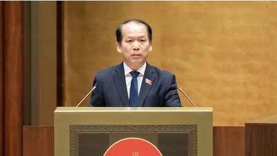 Tiếp tục vận động đầu thú, truy bắt các đối tượng bỏ trốn ra nước ngoài