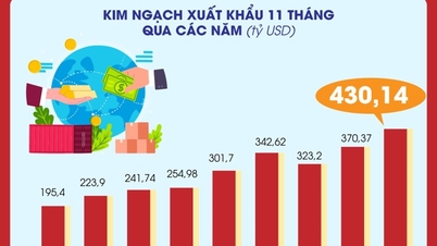 2025년 11개월간 상품수출입액 17.2% 증가