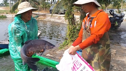 Giải bài toán thông tin, thương hiệu cho thủ phủ cá trắm đen Lập Lễ