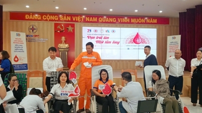 ساهم ضابط الشرطة لام دونج بـ 250 وحدة دم من خلال أسبوع EVN الأحمر