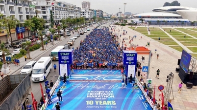 كوانغ نينه تعزز نموذج السياحة العلاجية