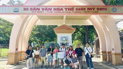 Mais de 430.000 visitantes em My Son em 2025.