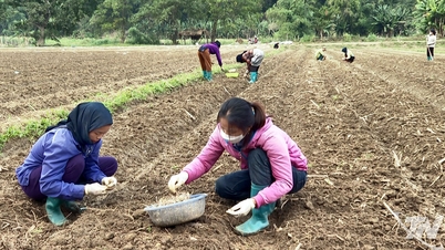 Ba Bể nỗ lực giảm nghèo, hướng tới nông thôn mới